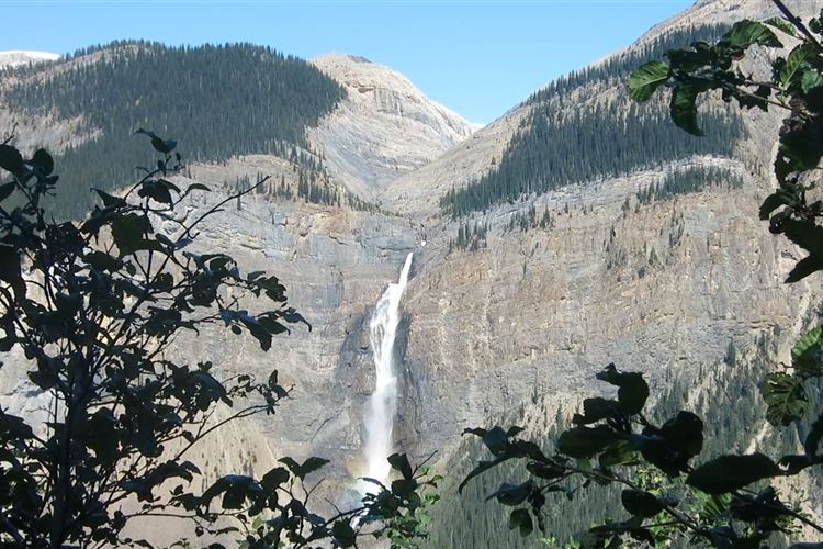 Canada Brit Col: Yoho, Iceline Trail, The falls from the beginning of Iceline, Walkopedia